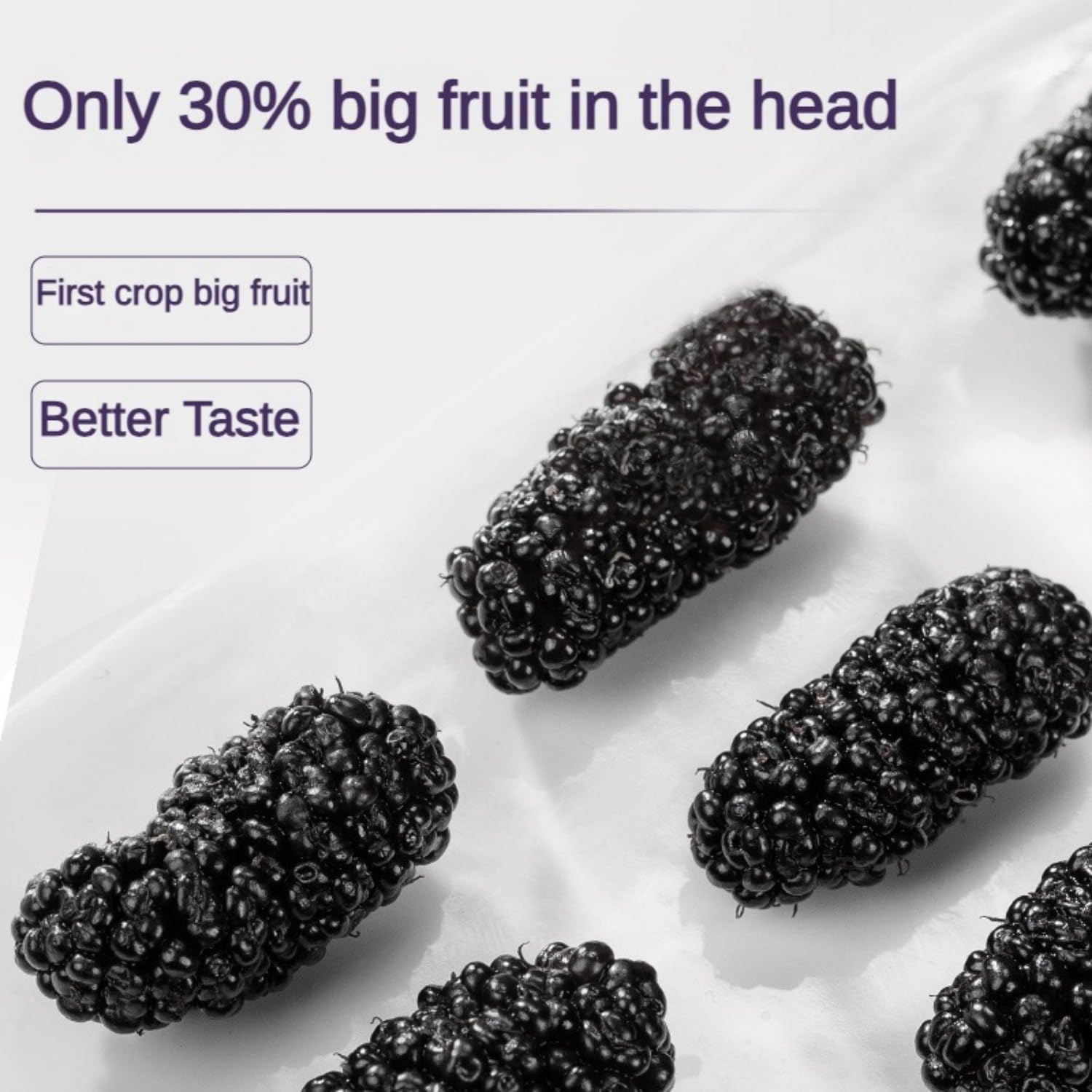 Sun-dried Mulberries, No Added Sugar, Gluten-Free, Suitable for Baking & Smoothies 17.6 OZ (sweet, 500G) 黑桑葚