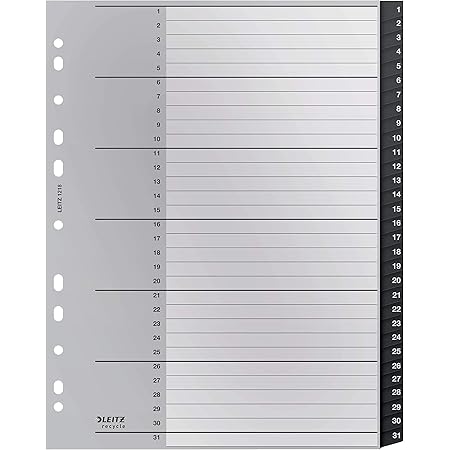 Esselte 100164 A4 1-31 index, Heavy Duty Karton met Mylar Versterkte Tabs, Veelkleurig Esselte 100164 A4 1-31 index, Heavy Duty Karton met Mylar Versterkte Tabs, Veelkleurig