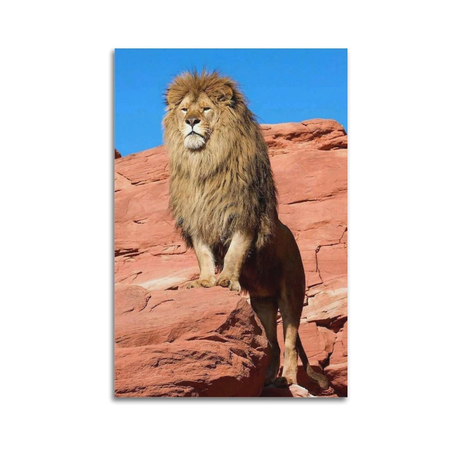 Xkuga Boys Unframe-Style African Lion Poster Nature Wildlife Savannah King Roaring Modern Decorative Canvas Prints - Ideal Wall Art For Family, Man Cave, Game Room, & Girls Bedroom 24X36inch(60X90cm)