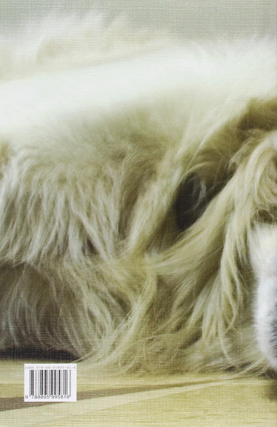 Tutto sulla psicologia del cane