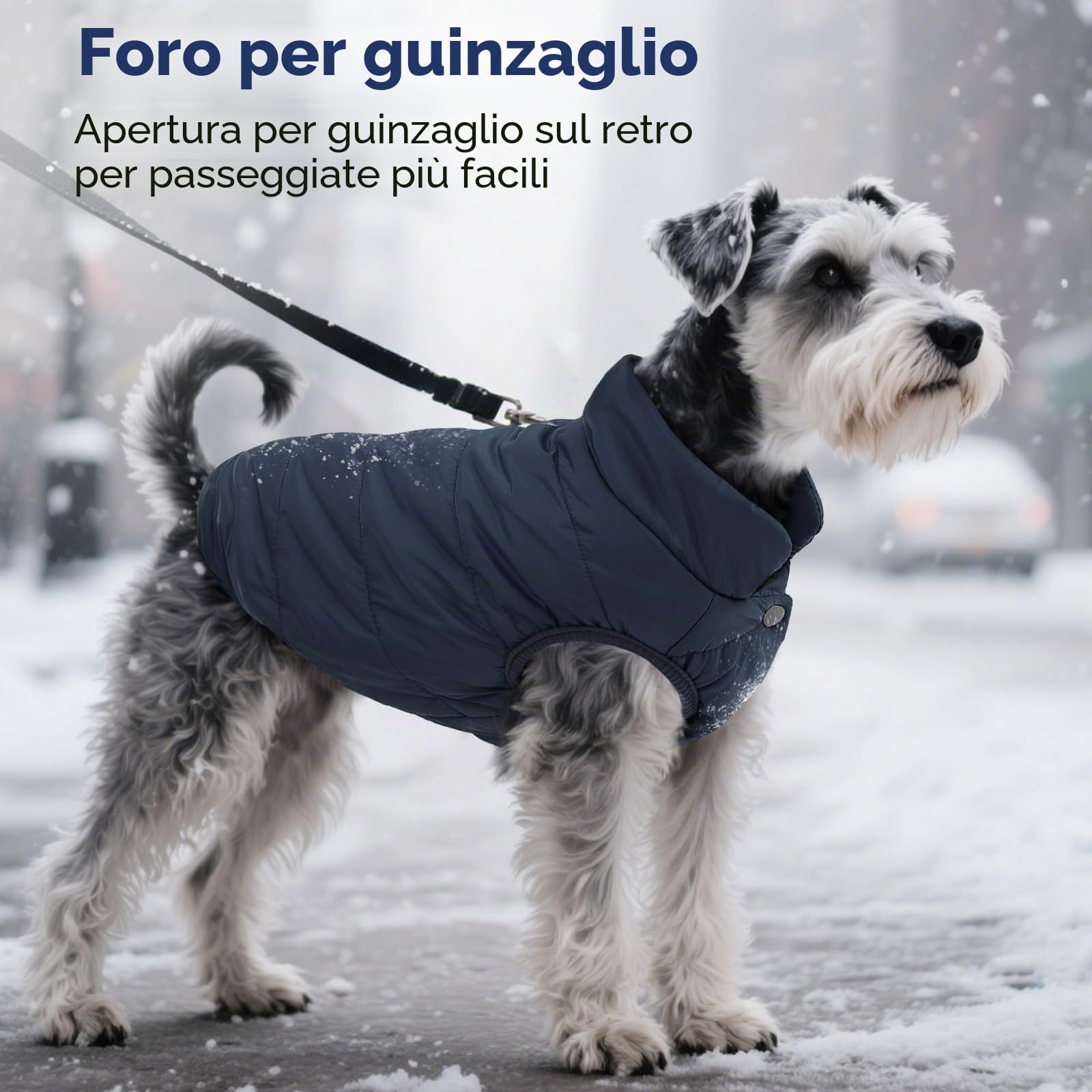 ASENKU Cappotto Cane Impermeabili Invernale, Cappottino Cane Calda Giacca per Cani Taglia Piccola Media Grande, Cappotto Gilet per Cani con Fodera in Lana Protegge Dal Freddo