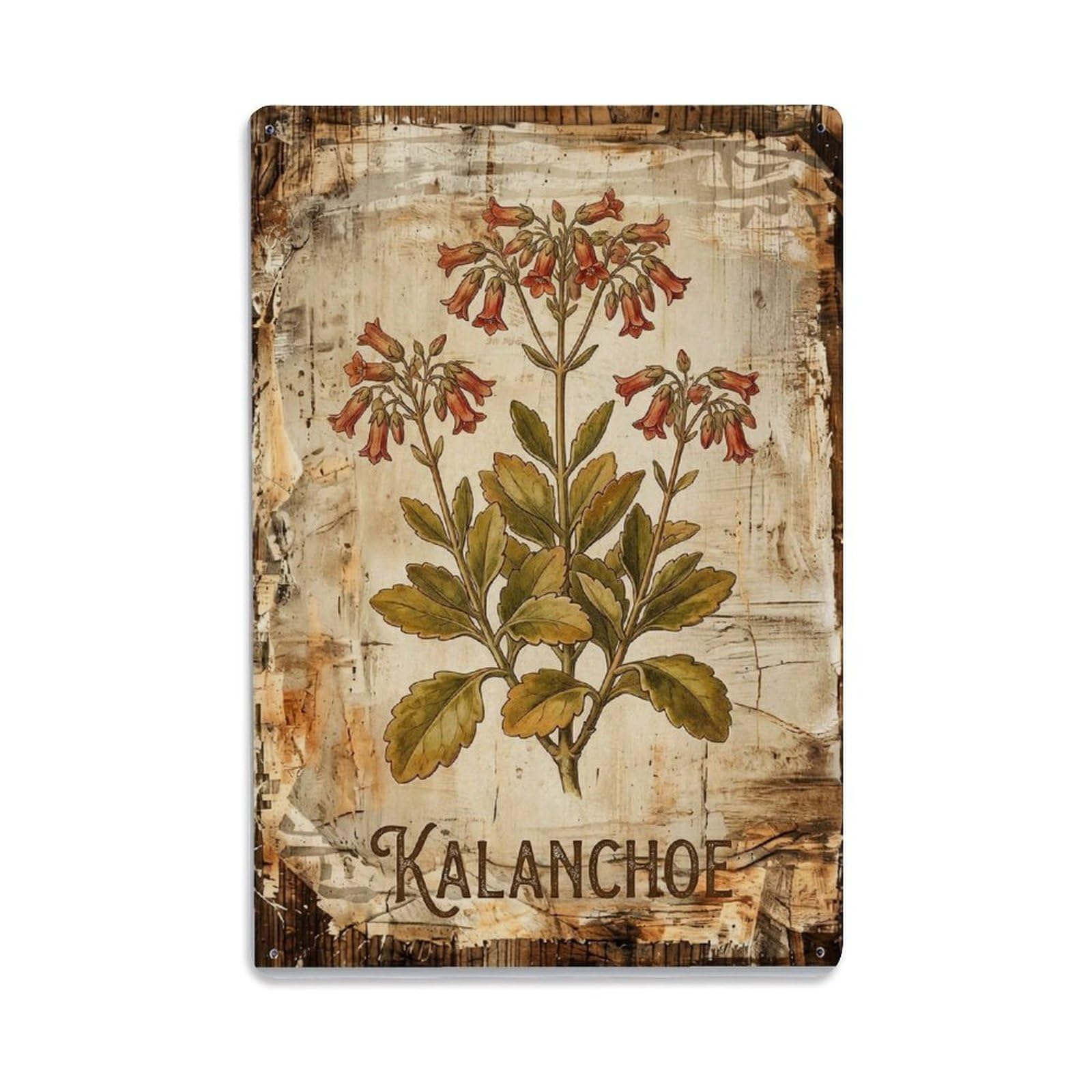 Kalanchoe Succulent Flower 1 Vintage Metal Tin Sign Plaque Wall Decor for Cafe, Club, Garden Metal Poster 8x12Inch