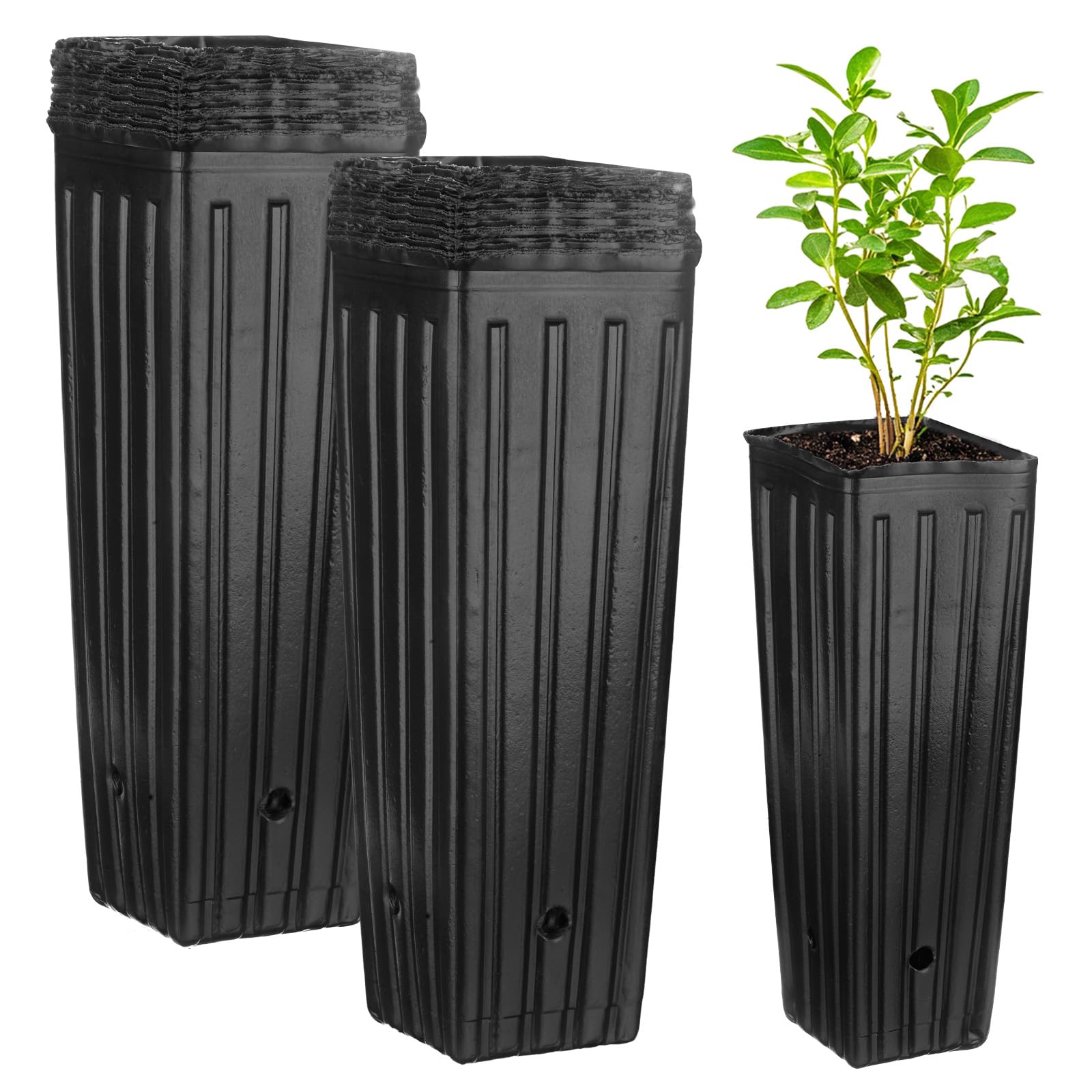 M METERXITY 100-Pack Plant Nursery Pots 3.94x3.94x11.81 inch, Black