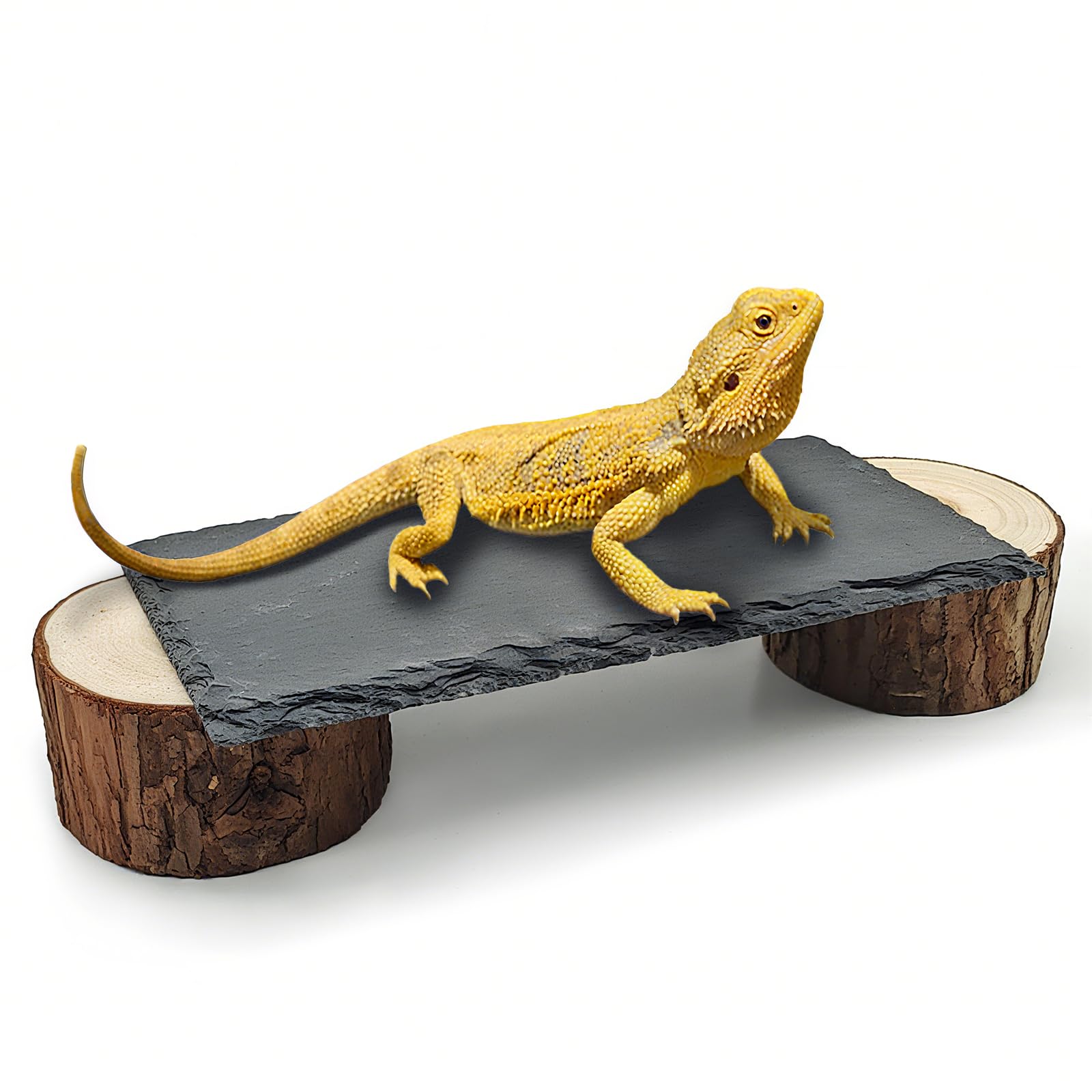 Plataforma de dragón Barbudo con Pelo de Madera, Cueva escondite de Reptiles, Roca Tomando el Sol, decoración de hábitat de terrario, Accesorios de Tanque para Tortuga, lagartos, Serpientes