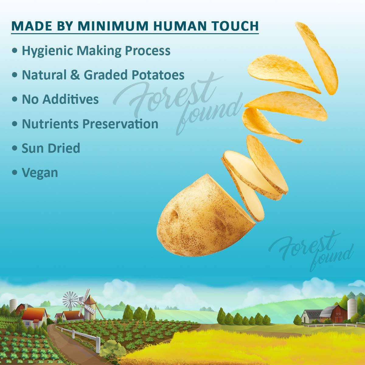 Forest Found Dry Potato Chips Fryums (Aloo Papad/Kacchi Chips, 400g) 4