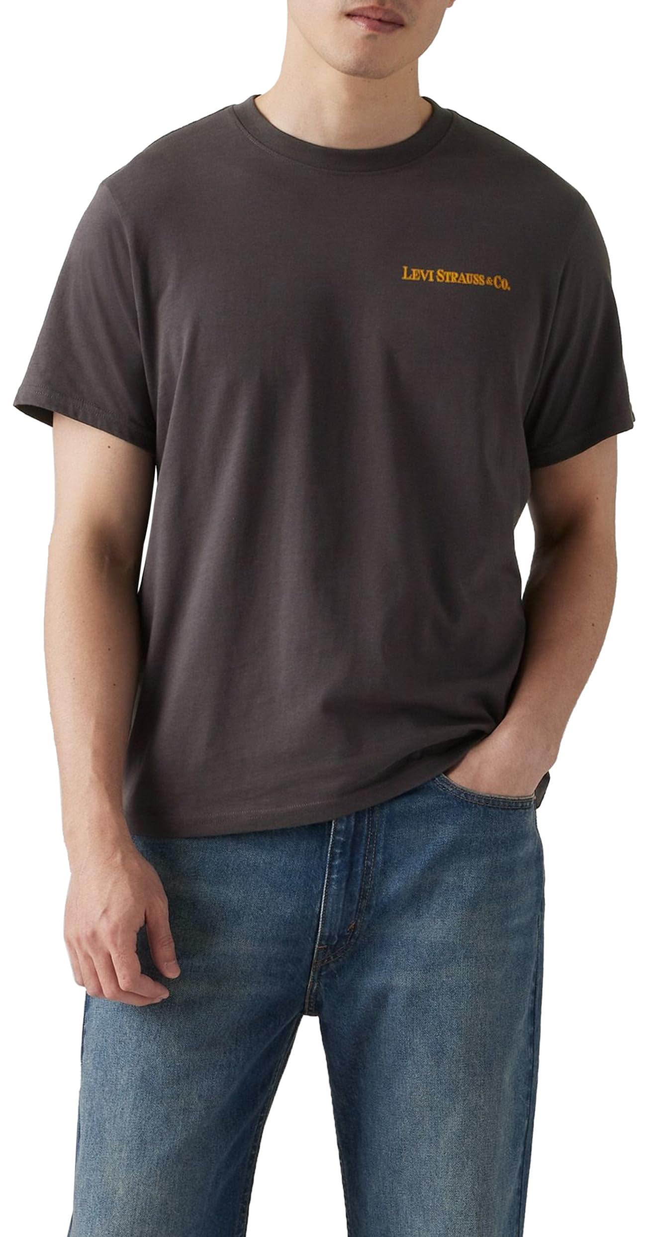 Levi's Men's SS Relaxed Fit Tee T-Shirt, Archival Phantom, L