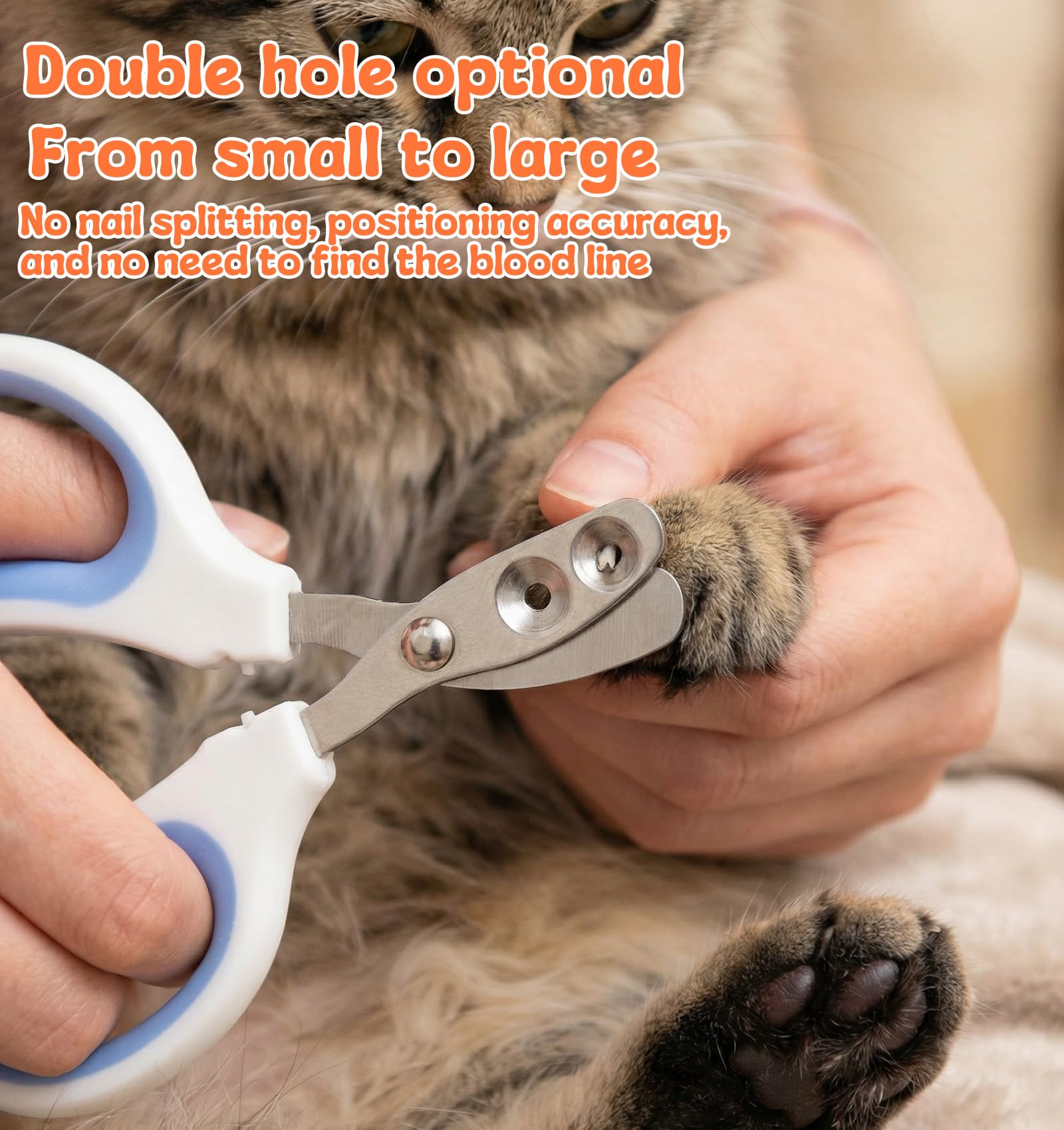 2Pcs Pet Nail Clippers, Dog Cat Nail Clipper with Guard for Cats Small Dogs Animal Claws Trimmer Ideal for Bearded Dragon Cats Rabbit, Non-slip Handle & Stainless Steel Blades, Safe & Easy to Use - image 6