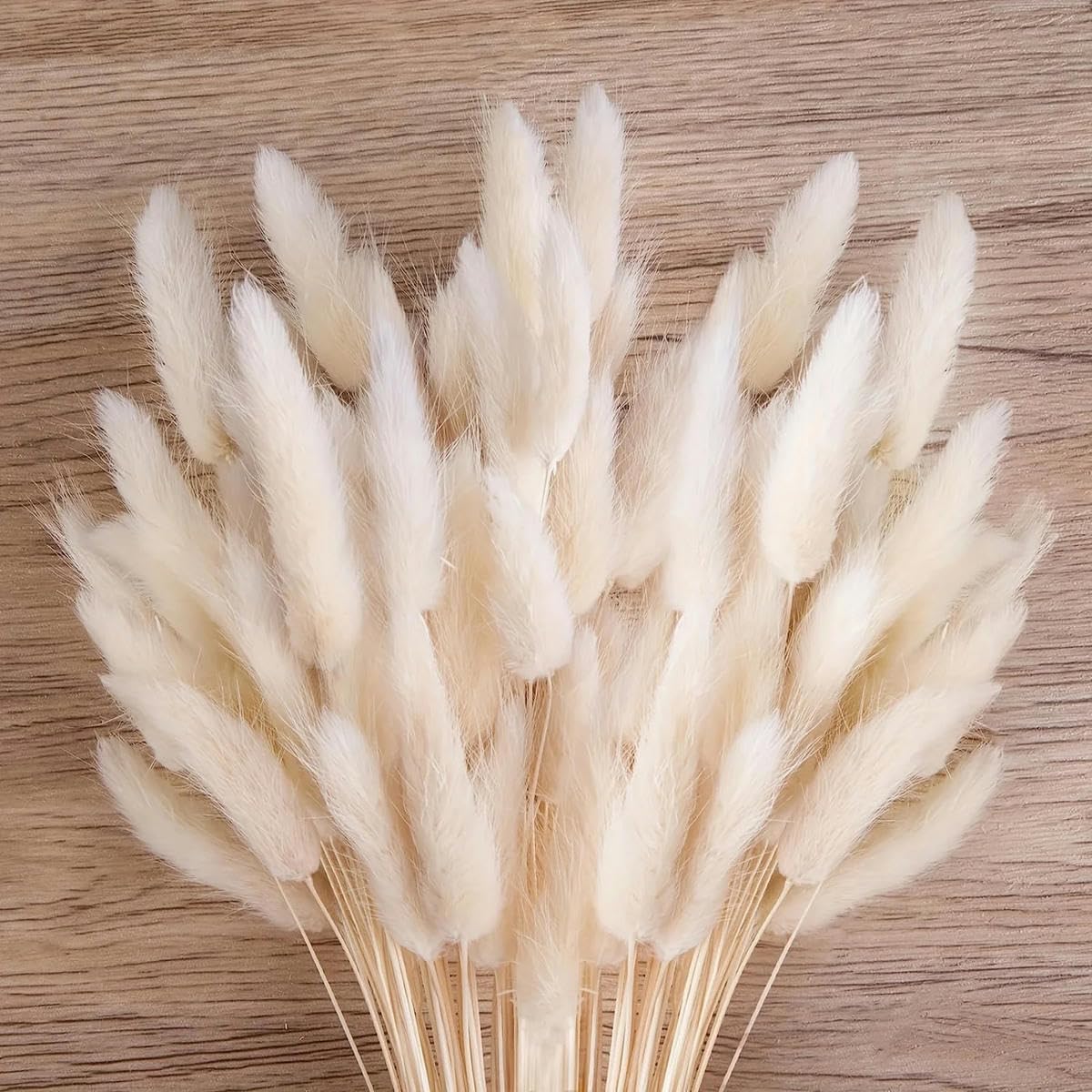 100pcs Queues de Lapin Bouquet de Fleurs Séchées en Herbe Boho Décoration d'Intérieur Naturel Lagurus Ovatus Floral Décoration de Mariage-Orange-100PCS