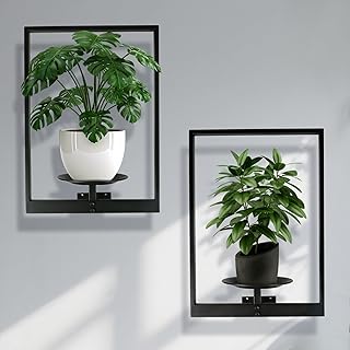 Plant Wall Shelf, Metal Modern Style Frame, Picture Wall Plant Holder, P...