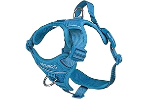 Momentum Dog Harness For Medium Dogs, Dark Teal