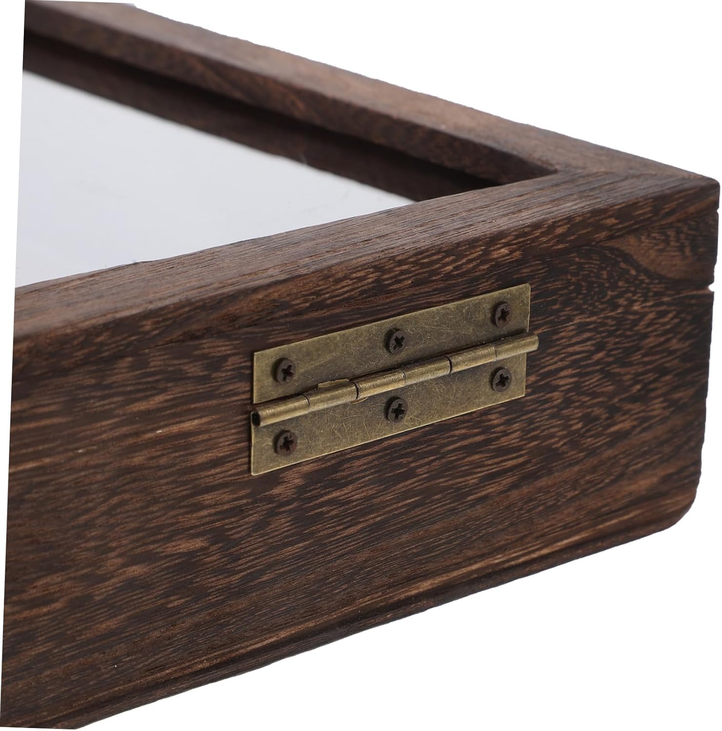 Unomor Box Specimen Display Box Insect Large Butterfly Butterflies Specimen Case Specimen Storage Case Dried Flower Storage Case Specimen Container Display Case Specimen Holder Wooden