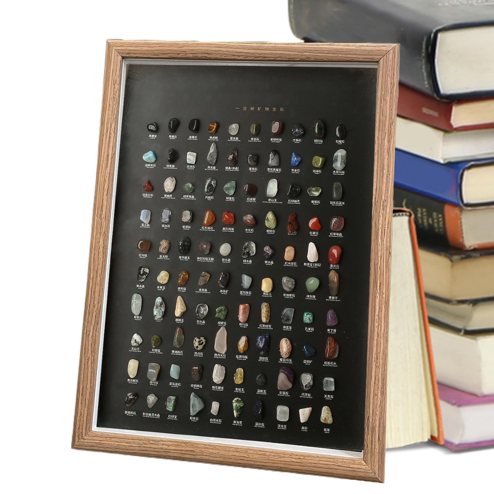Colección de Kit Decoración Para El Hogar Coleccionable De 100 Piezas | Set de Gemas para Niños Para Niños Adultos Coleccionistas Oficina Sala Dormitorio Estudio