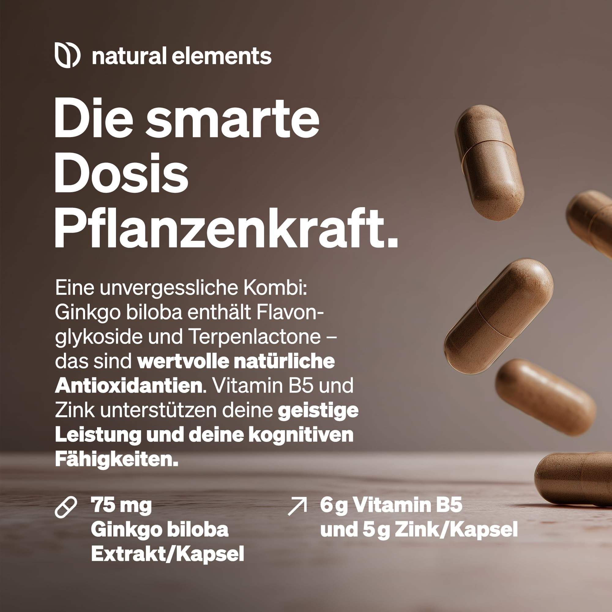 natural elements Ginkgo biloba – optimal dosiert mit 3750mg pro Kapsel (50:1 Extrakt) – 365 Kapseln – mit Vitamin B5 & Zink – vegan, ohne unnötige Zusätze – in Deutschland produziert & laborgeprüft