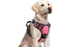 Rabbitgoo No Pull Dog Harness: Ultimate Comfort and Safety for Your Furry Friend