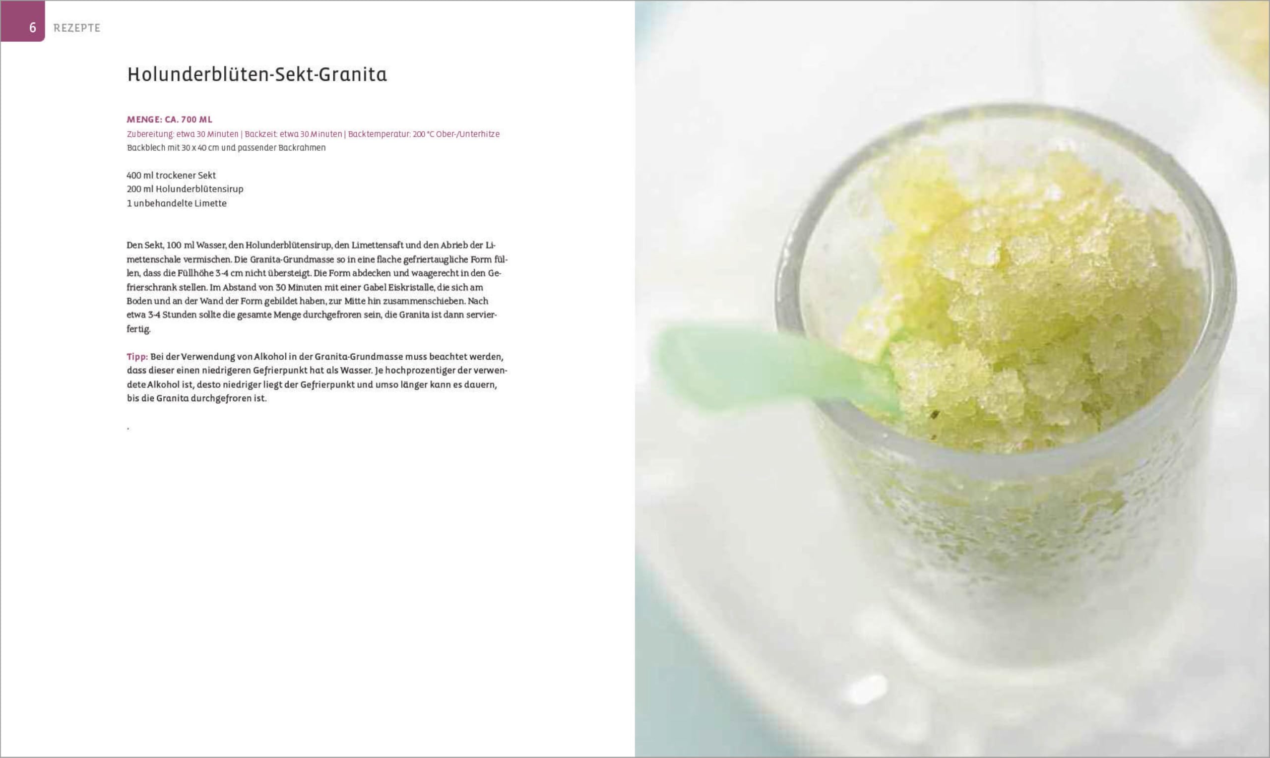 Die Eis Bibel. Eis, Sorbets, Parfaits, Frozen Desserts. 100 kreative Eis-Rezepte für die Eismaschine