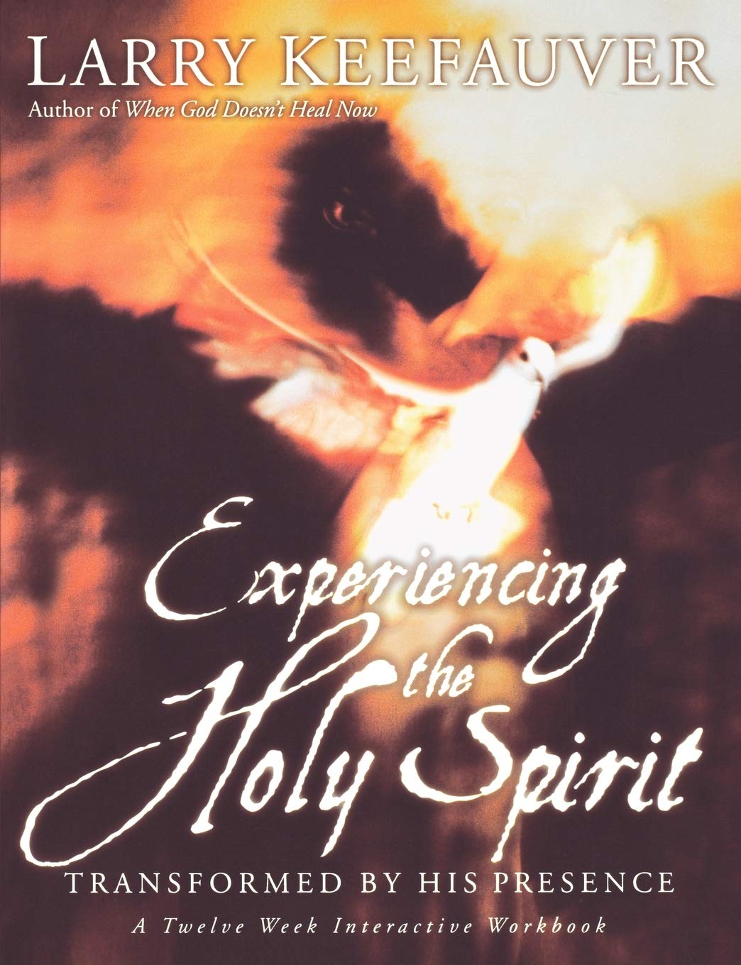 Buy Experiencing the Holy Spirit: Transformed by His Presence : A Twelve-Week Interactive Workbook — BookShops.in
