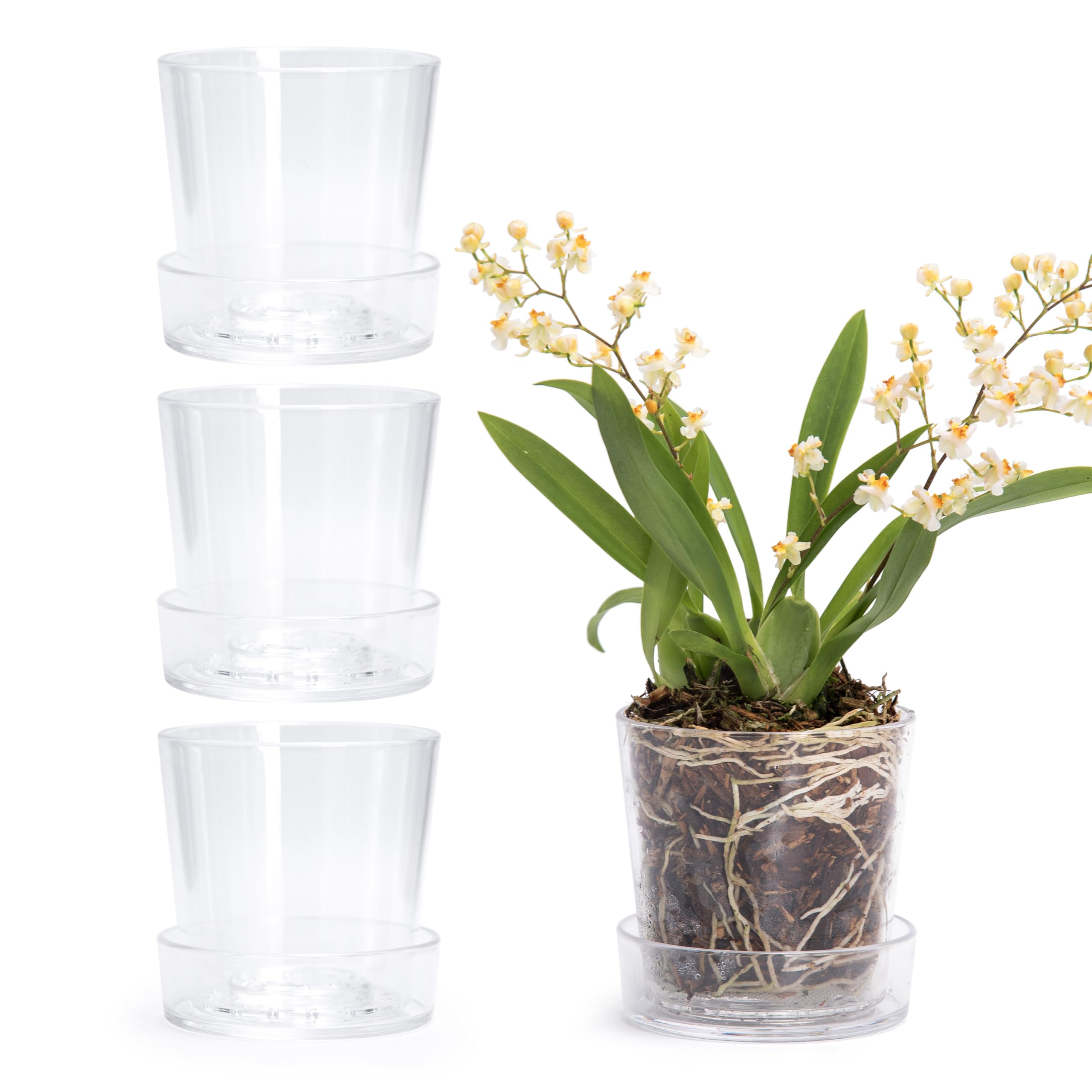 Phoenix Vine 3.5 Inch Clear Acrylic Planter Pot Set