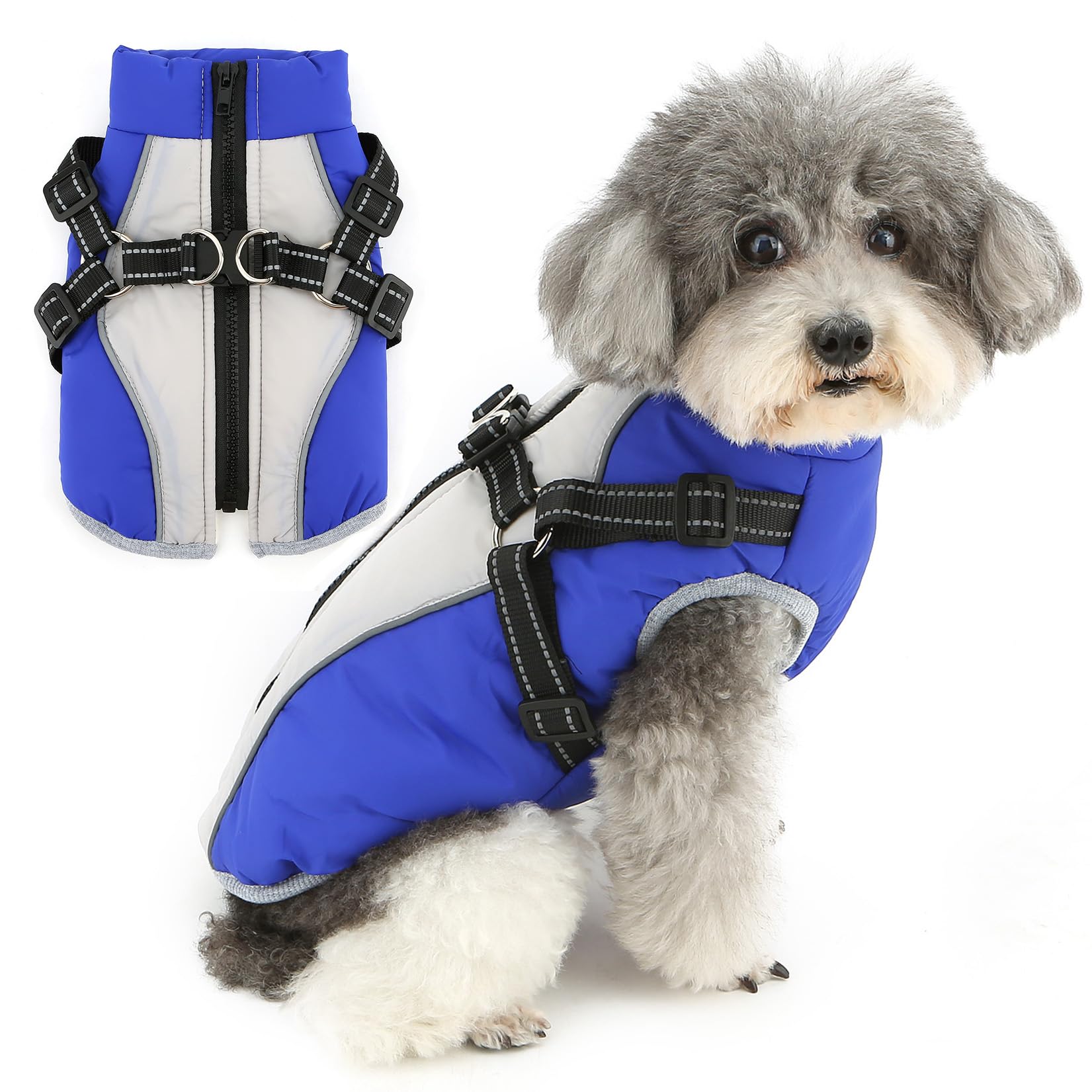 Zunea Winter Dog Jacket Coats for Small Dogs Warm Fleece Lined Puppy Jackets with Built in Harness Reflective Adjustable Zipper Coat Snow Vest Clothes Outdoor Cold Weather Chihuahua Apparel Blue XL