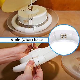 T9 Round Fluorescent Circline Lamp 22 Watts - G10Q 4-Pin Base - Ceiling Light Bulb with 4100K Cool White 1250 Lumens