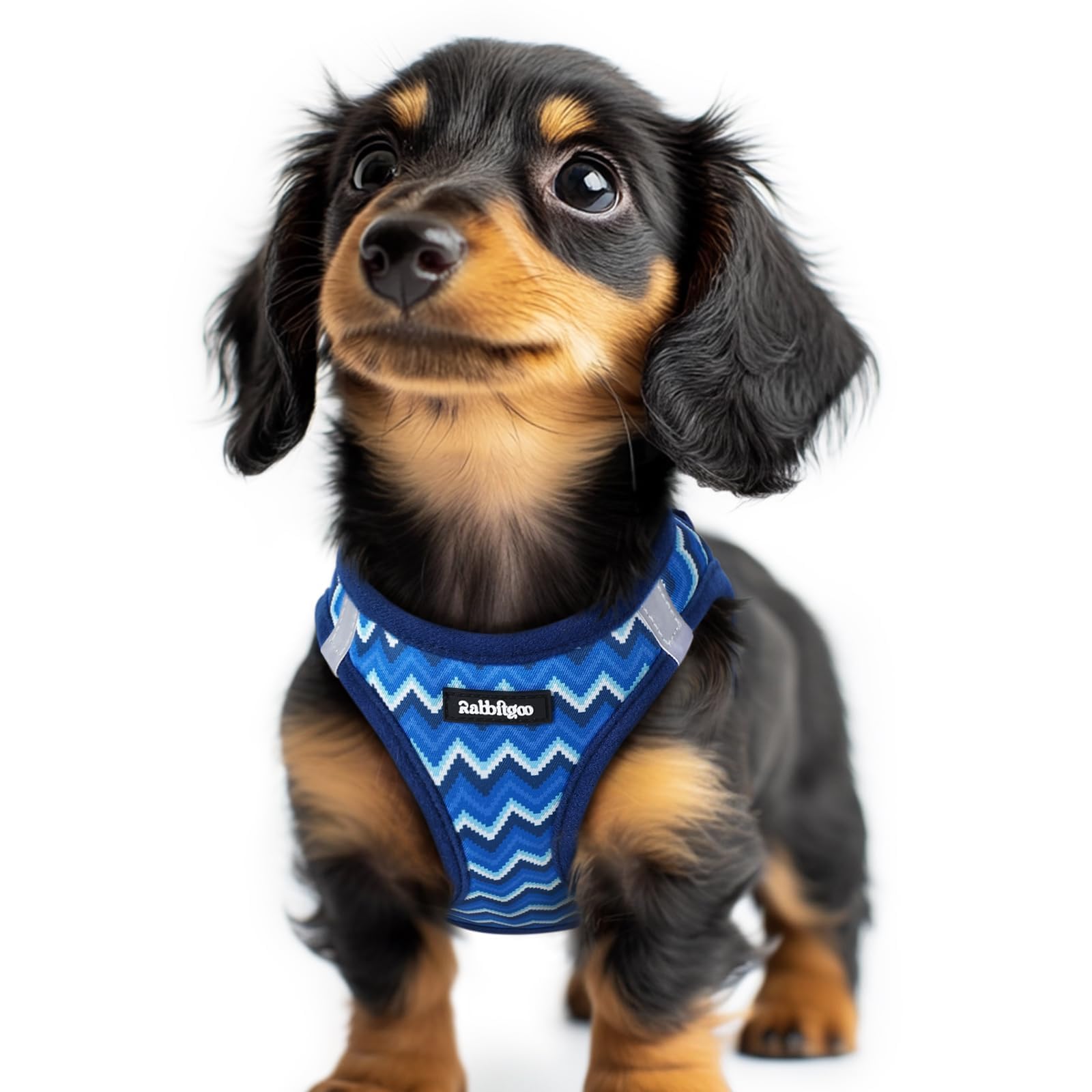 rabbitgoo Hundegeschirr kleine Hunde, Step-in Soft Mesh Hundegeschirr mit Sicherheitsverschluss, atmungsaktives und reflektierendes Welpengeschirr für kleine Hunde
