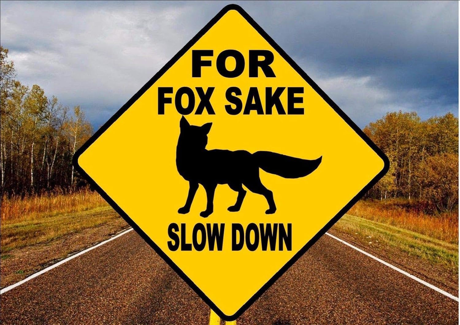 Biopracess Metal Tin Sign Road Sign Funny Novelty Road Sign Street Sign Fox Road Sign Joke For Fox Sake Sign Square Sign 12x12 inches