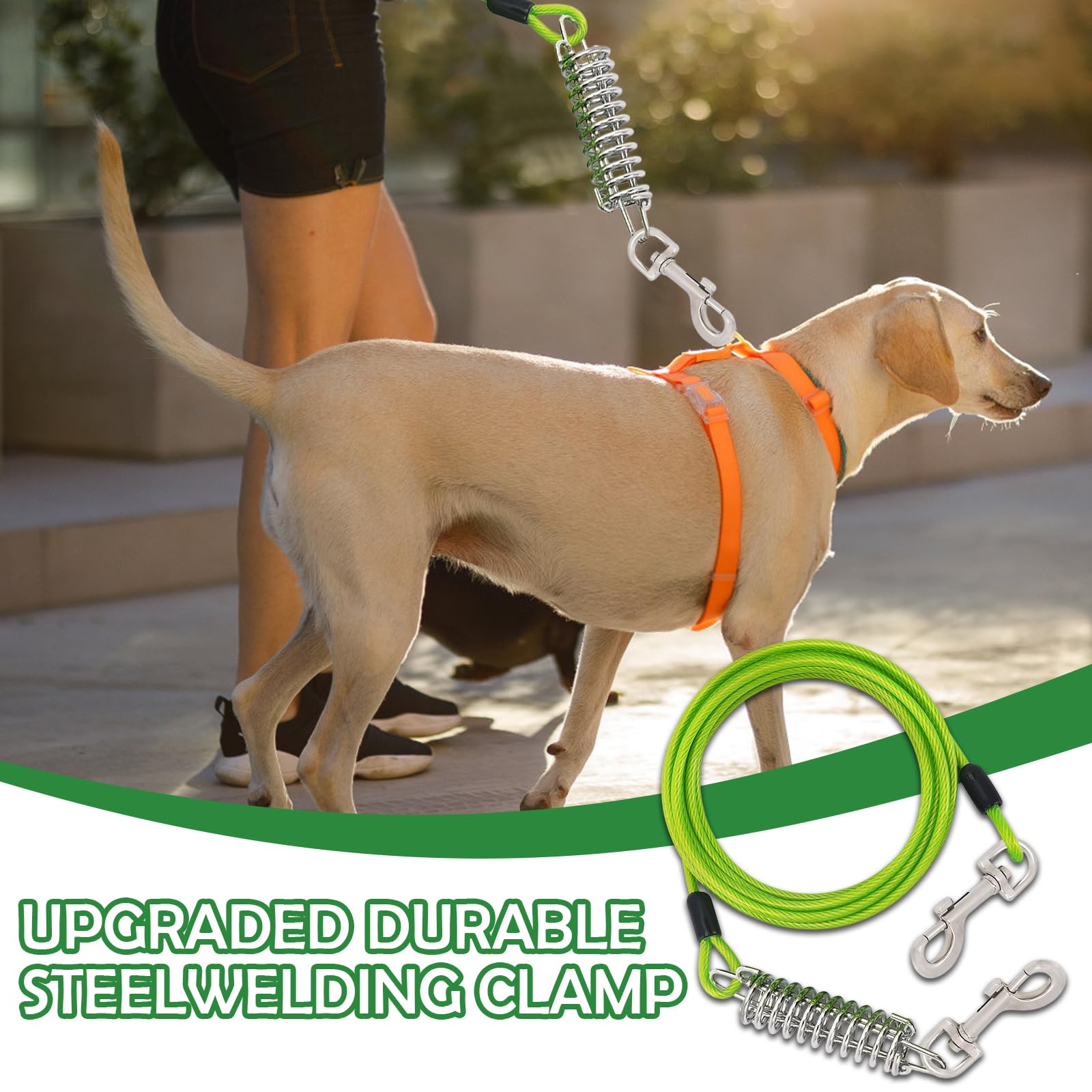 Amexo Hundeleine für Hunde, 3m Hofleine mit Stoßdämpfender, Bissfeste Hundeleine für Mittlere und Große Hunde, Tie Out Cables Leinen für Camping Park im Freien Laufen