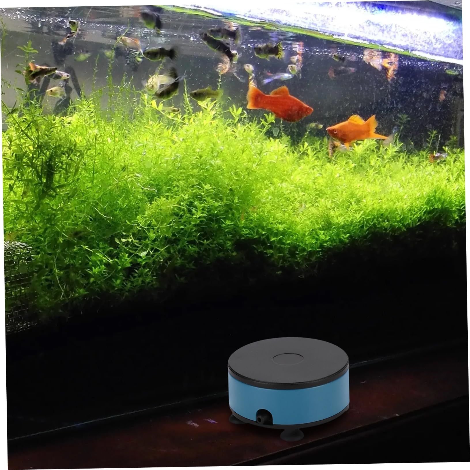 Toddmomy 1 Set Powered Aquarium Air Pump Compact Pump for Fish Tank Low Power Consumption Stable Bubble Generation for Home Office Use