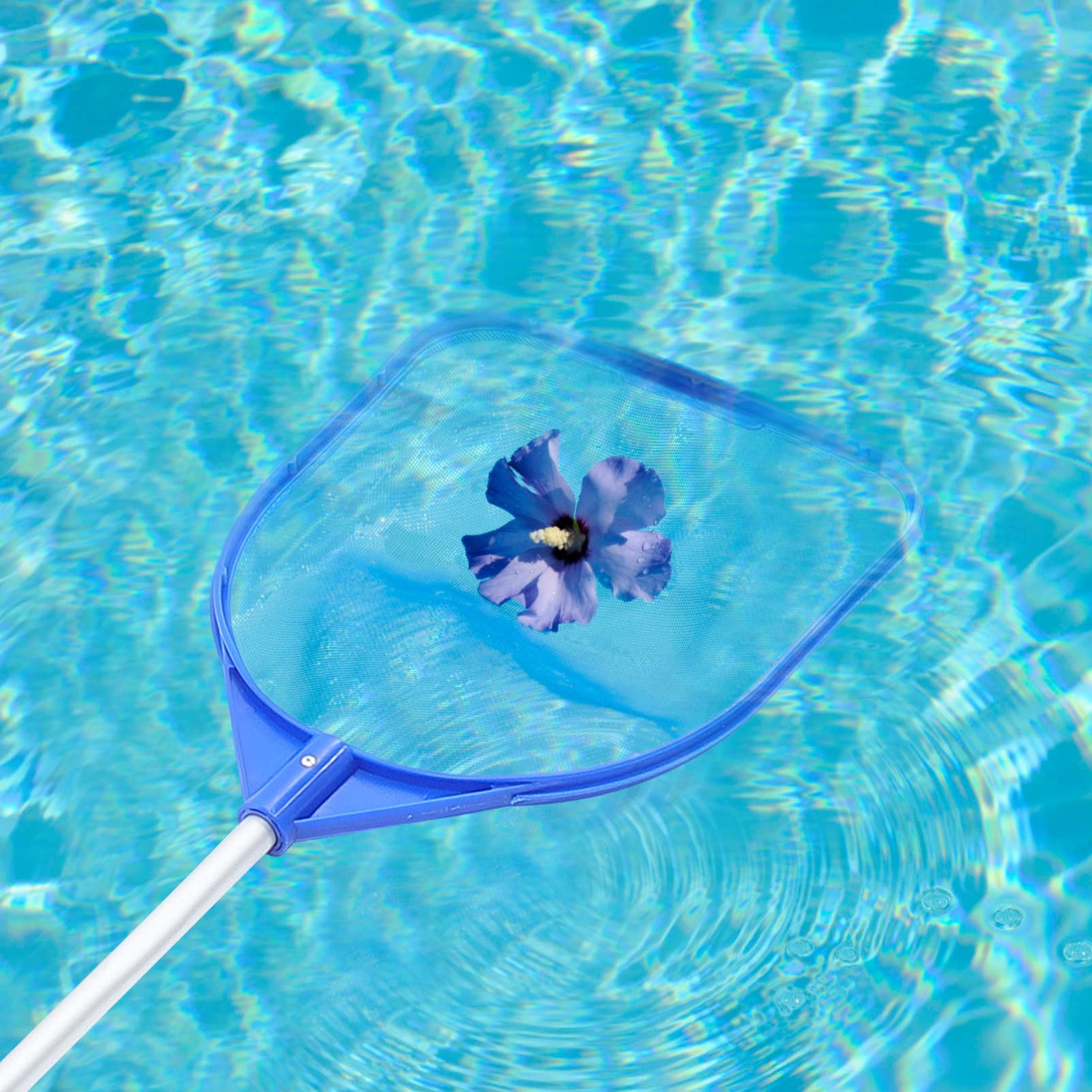 Sosoport 2 Piezas Red De Limpieza De Piscinas Cesta Flotadores De Piscina Inflables De Piscina Bañera Limpiador De Piscinas Nadar SPA Fuente De La Piscina Cosas De Piscina El Plastico Blue