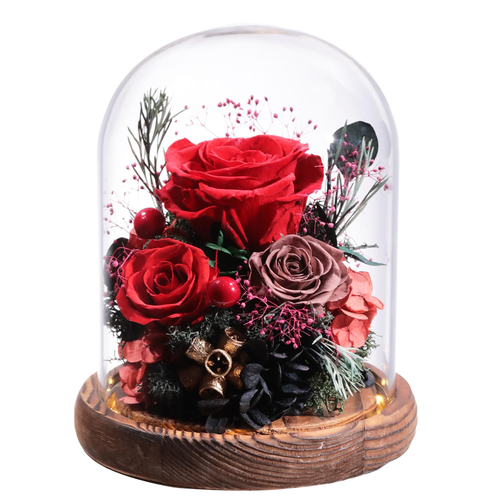 Flowers for Delivery Preserved Rose Gifts for Her,Long-Lasting Real Roses Flowers in Glass Dome,Birthday Gifts for Women Mom Wife Friend(Red Rose)