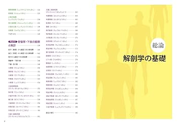 【ＤＶＤ】実践に役立つ解剖学　PART1　基礎からの触診法32ポイント DVD教材 | トリガーポイント療法・マッサージセミナー、通信講座