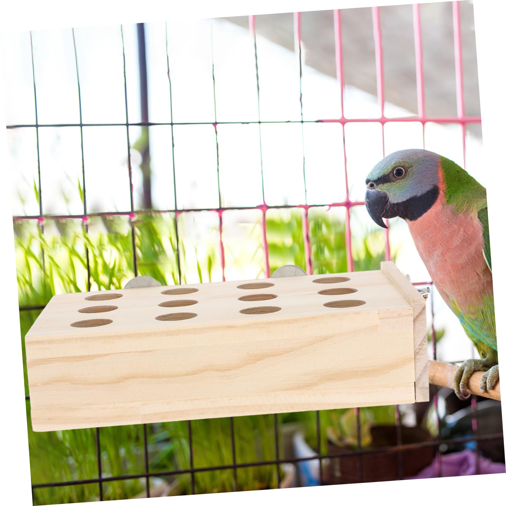 BESPORTBLE 5piezas Juguete para Aves De Forrajeo y Masticar Desarrollar La Inteligencia y Mantener La Diversión Juguete y Entretenido para Pájaros