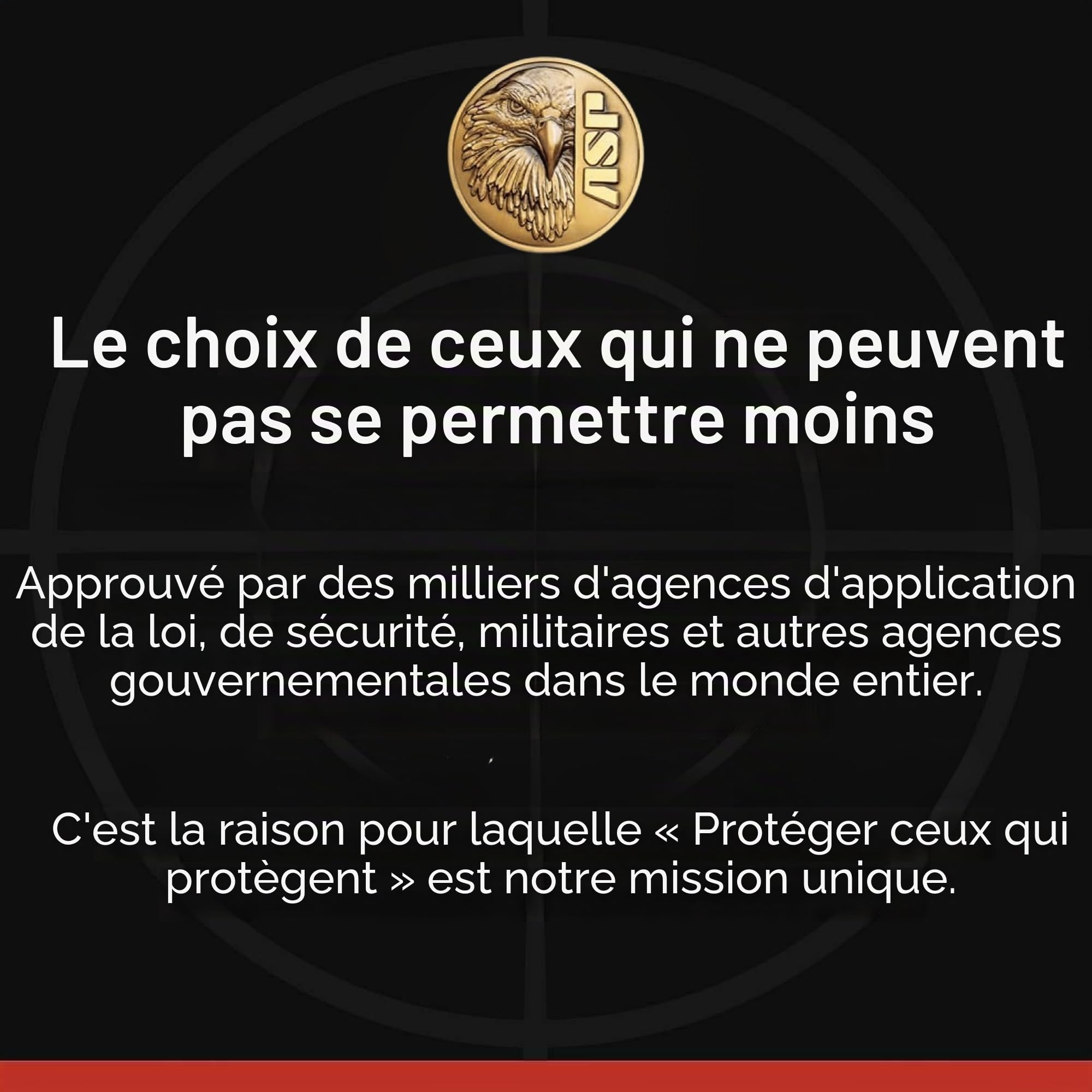 ASP Sentry Menottes de qualité Professionnelle avec Cadres en Acier Inoxydable, nœuds en Acier forgé, passages de clavette Double Face et Fentes à Double Verrouillage pour équipement et équipement