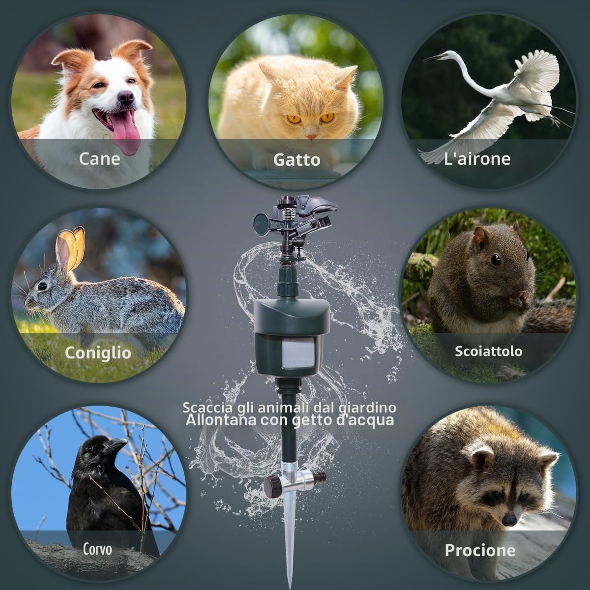 Repellente per uccelli da giardino, con rilevamento diurno e notturno,acqua e uccelli, repellente per aironi, per espellere gatti, procioni, animali selvatici, portata fino a 10 m | Dissuasore per aironi e cani, gatti, martore, procioni, animali selvatici