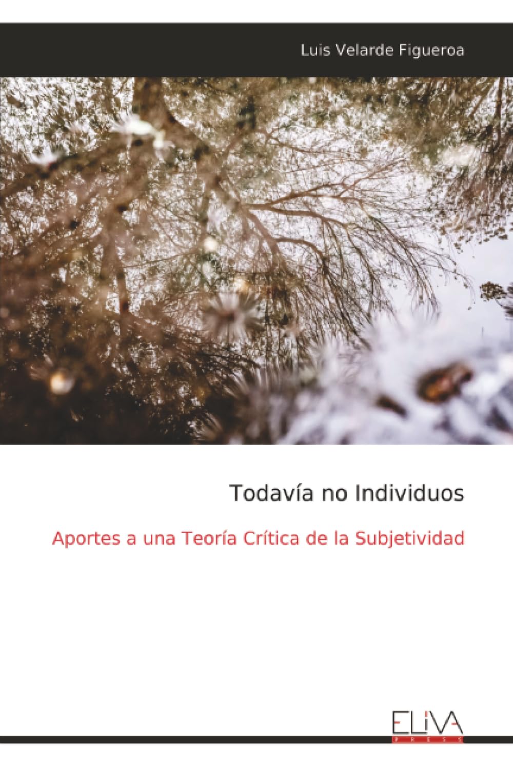 Todavía no Individuos: Aportes a una Teoría Crítica de la Subjetividad