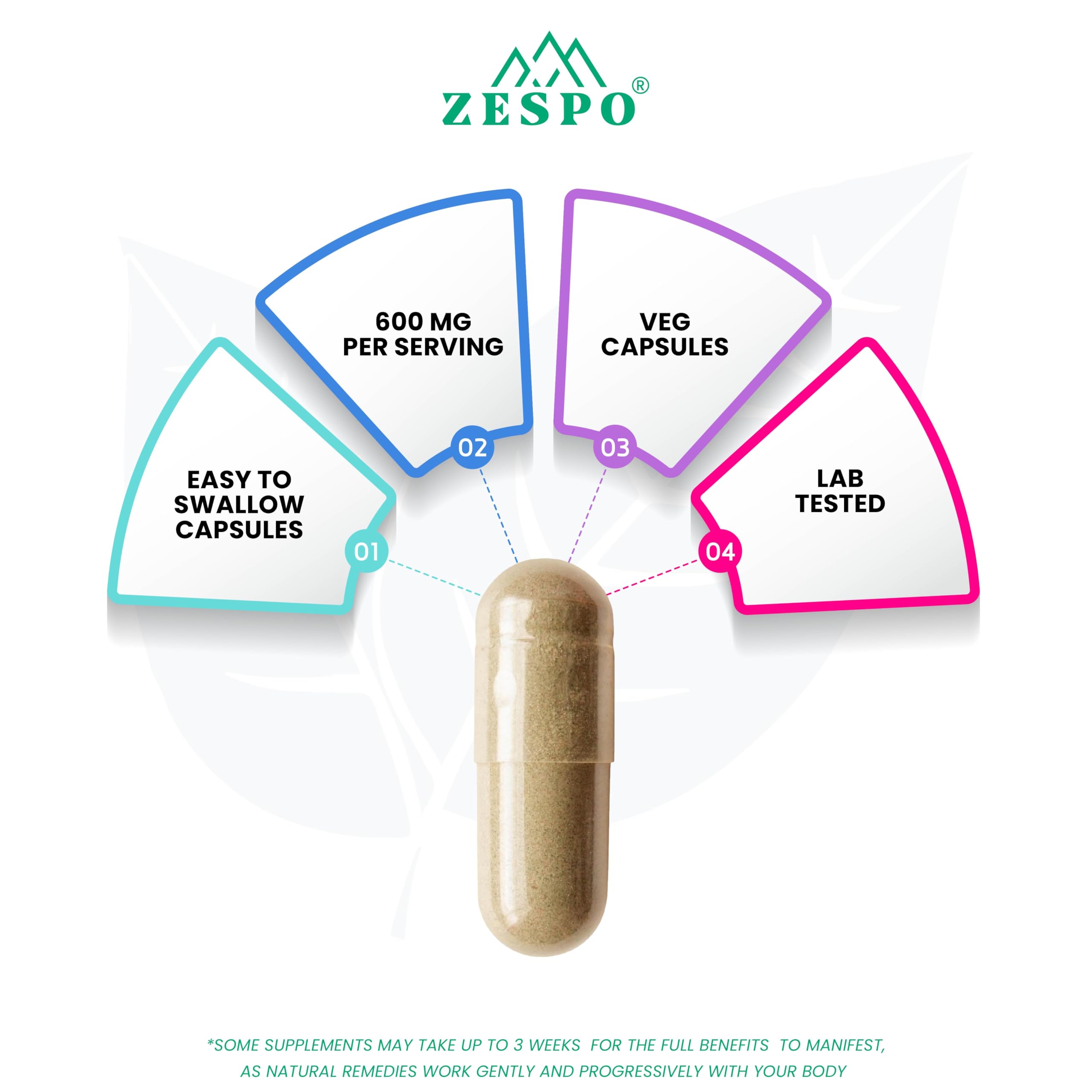 ZESPO Astragalus Root Extract 600 mg Capsules Immune Support Supplement Plant-Based 60 Veg Capsules 4