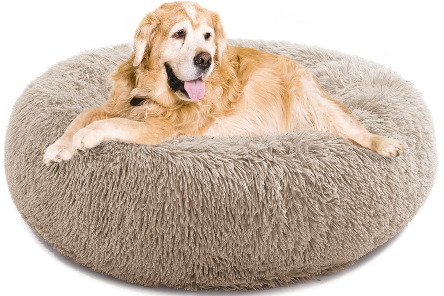 Tapis de chien auto-chauffant pour soulager le sol froid