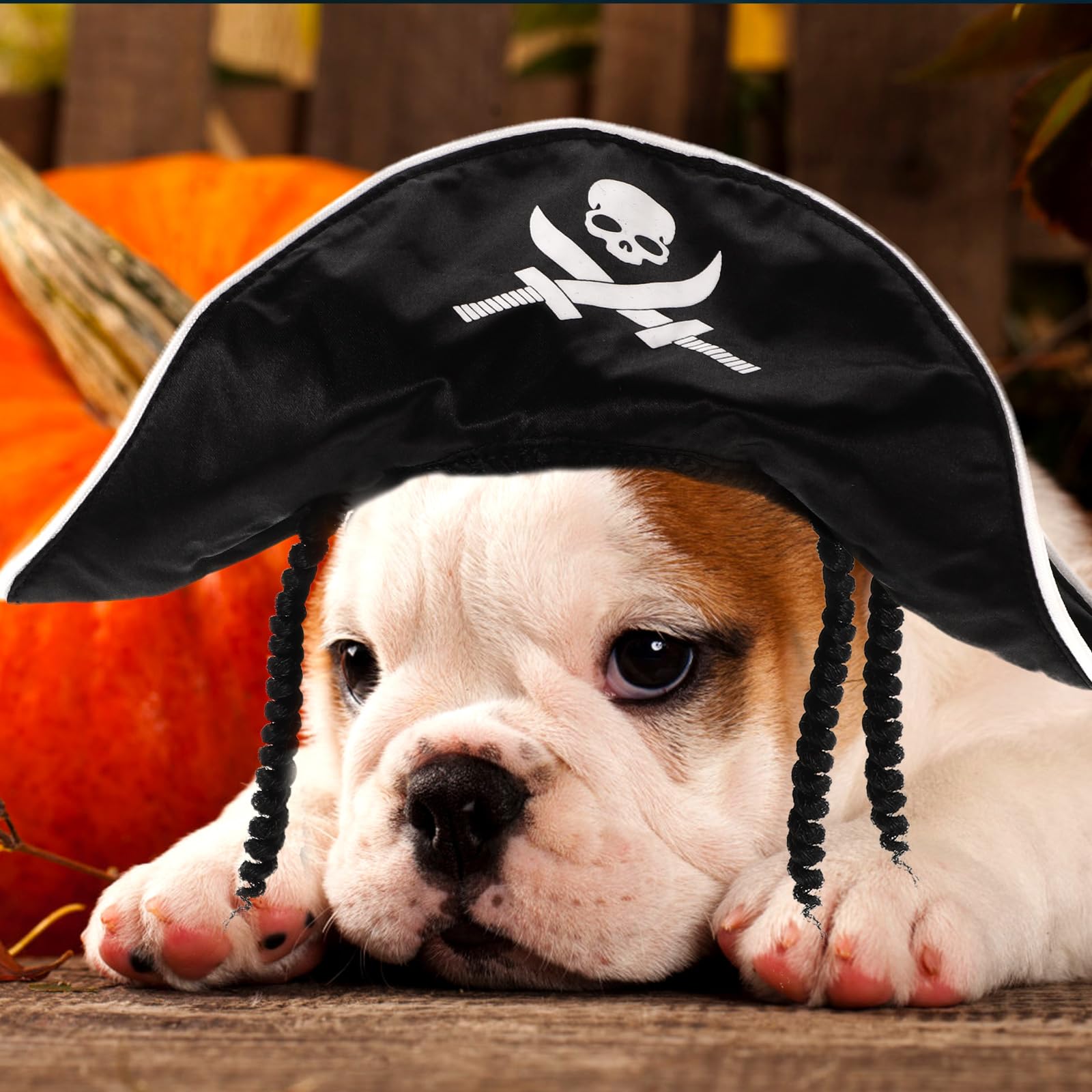 HANABASS Pet Pirate Hat Adjustable Dog Halloween Costume Hat for Party Cosplay with Delicate Design and Comfortable Fit - Image 3