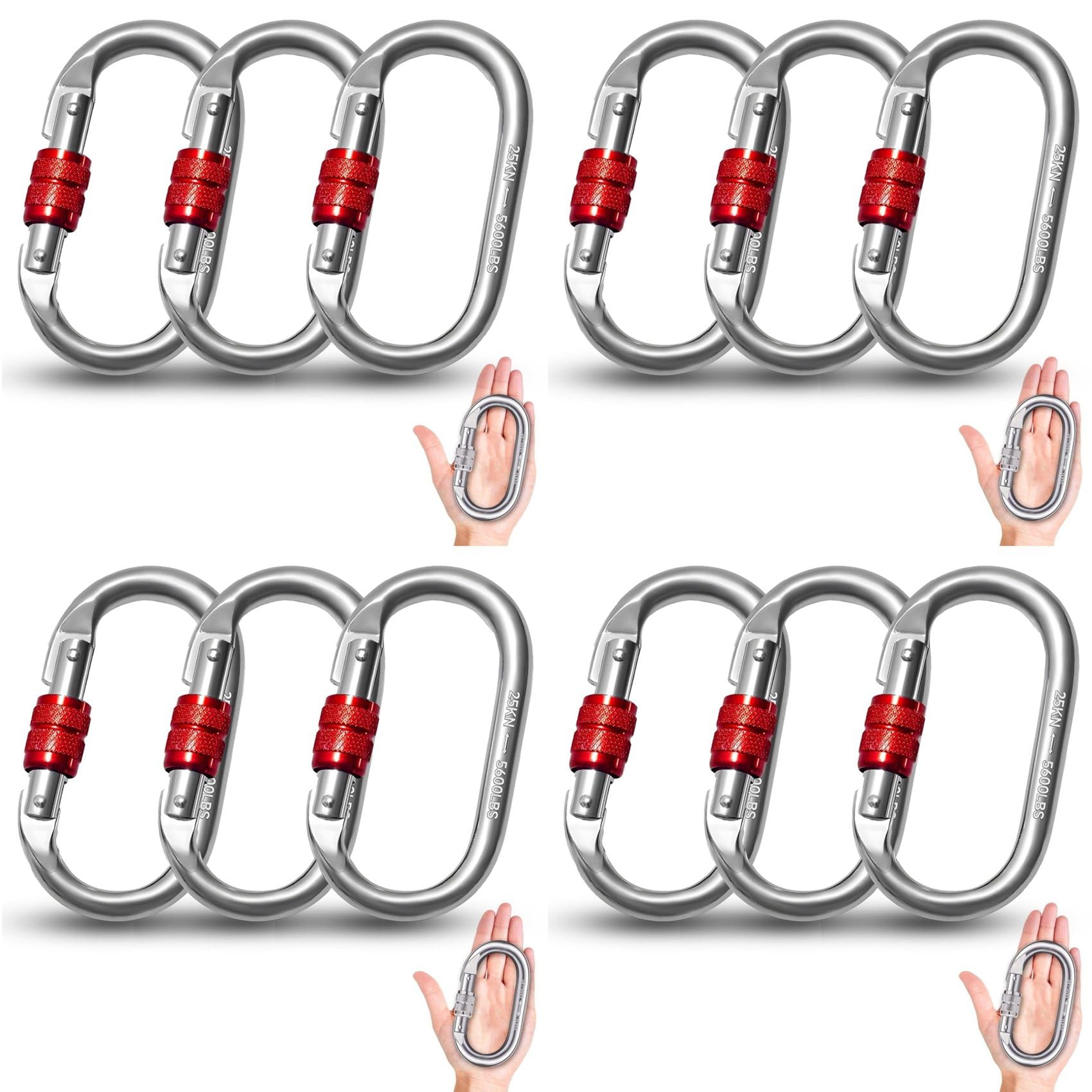 12 Mousquetons de Sécurité Robustes, 25 KN, en Acier Inoxydable, pour Escalade, en Rappel, Hamacs, Chiens