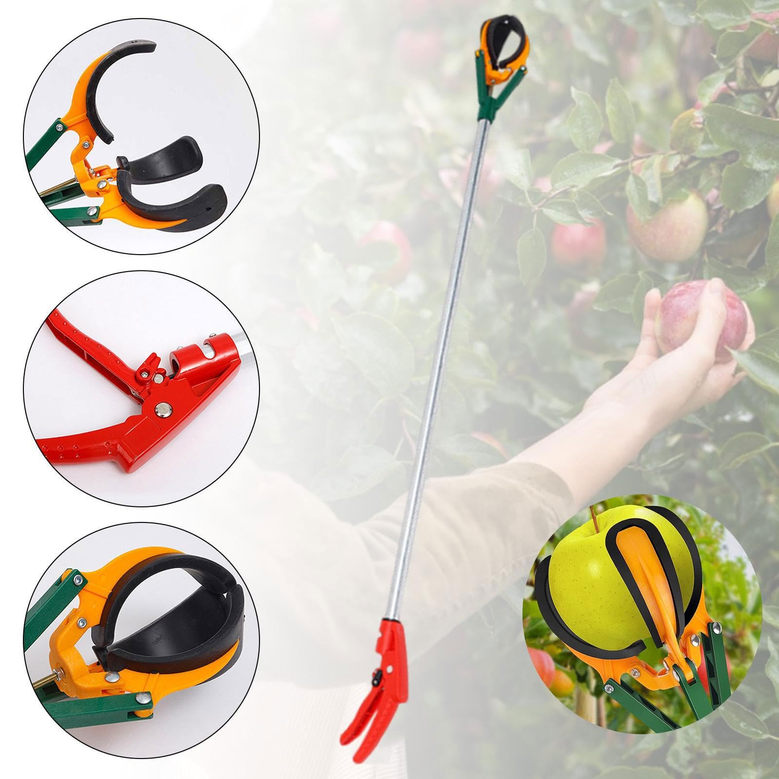 Qianly Strumento Raccogli-frutta con Tre Artigli in Gomma Multiuso per Raccogliere