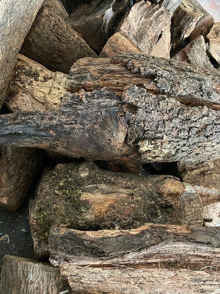 Mugar- Leña de Encina Seca Lista para Encender Chimeneas y Barbacoas- Producto de Poda Controlada - Varios Tamaños de Caja (20 kg)