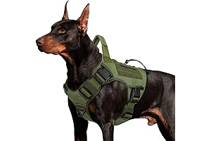 WINGOIN Military Vest for Dogs: Adventure Ready K9 Gear