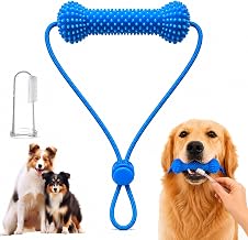 Dual-Action Canine Dental Prop, Dog Mouth Opener for Teeth Brushing, Bite-Resistant Dental Chew Toy and Pet Oral Care Tool for Small Medium Large Dogs (1PCS)