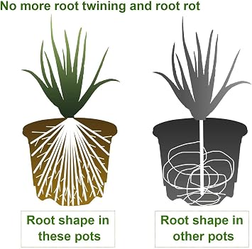 KAHEIGN 6Pcs Plastic Plant Pots, 16CM Thicken Flower Pot Root-Control Nursery Seedling Planter Decorative Garden Plant Container with Saucer for Indoor Outdoor Bonsai Plants (Green)