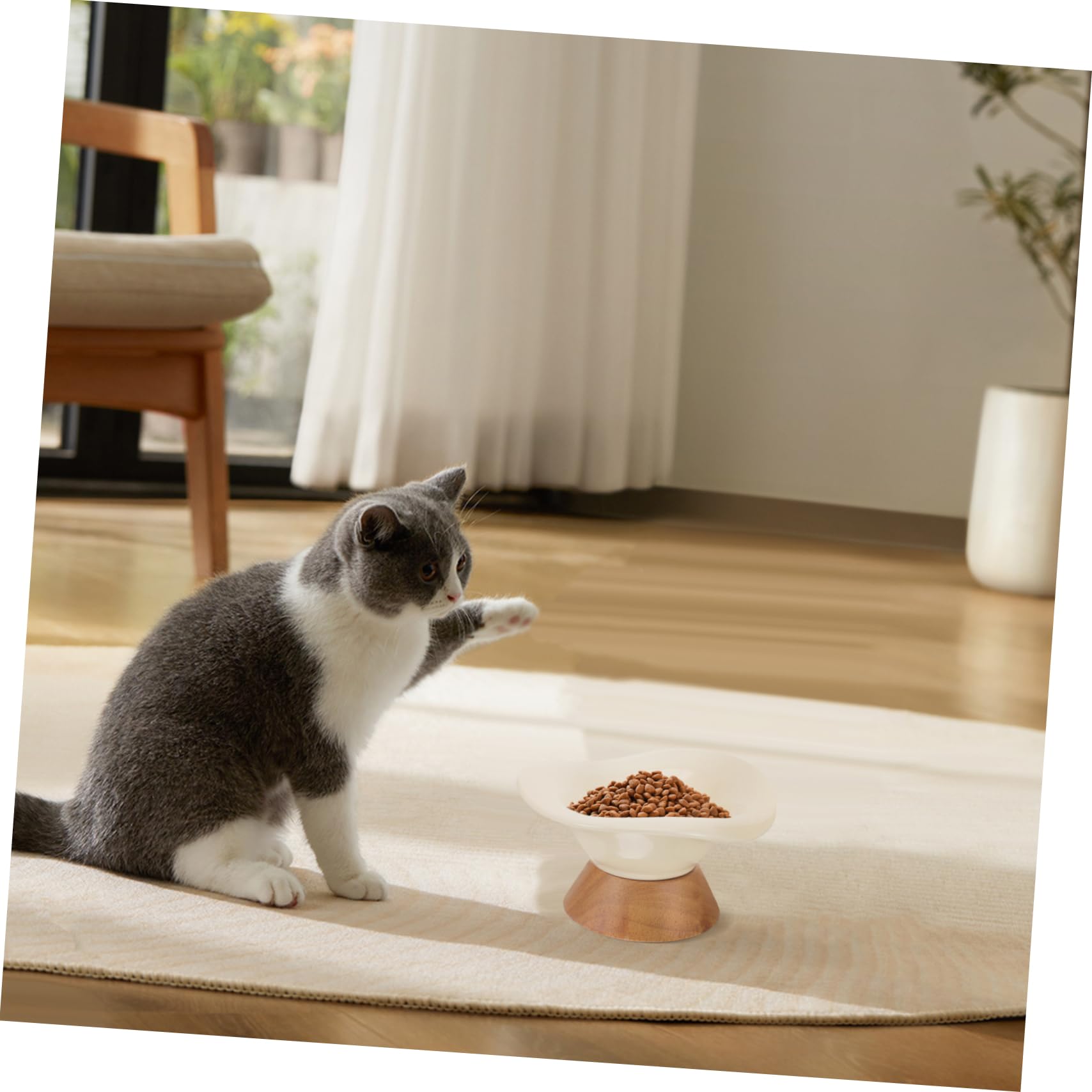 Cuenco para Gatos Flores Cuenco De para Gatos De Comida y Agua para Mascotas