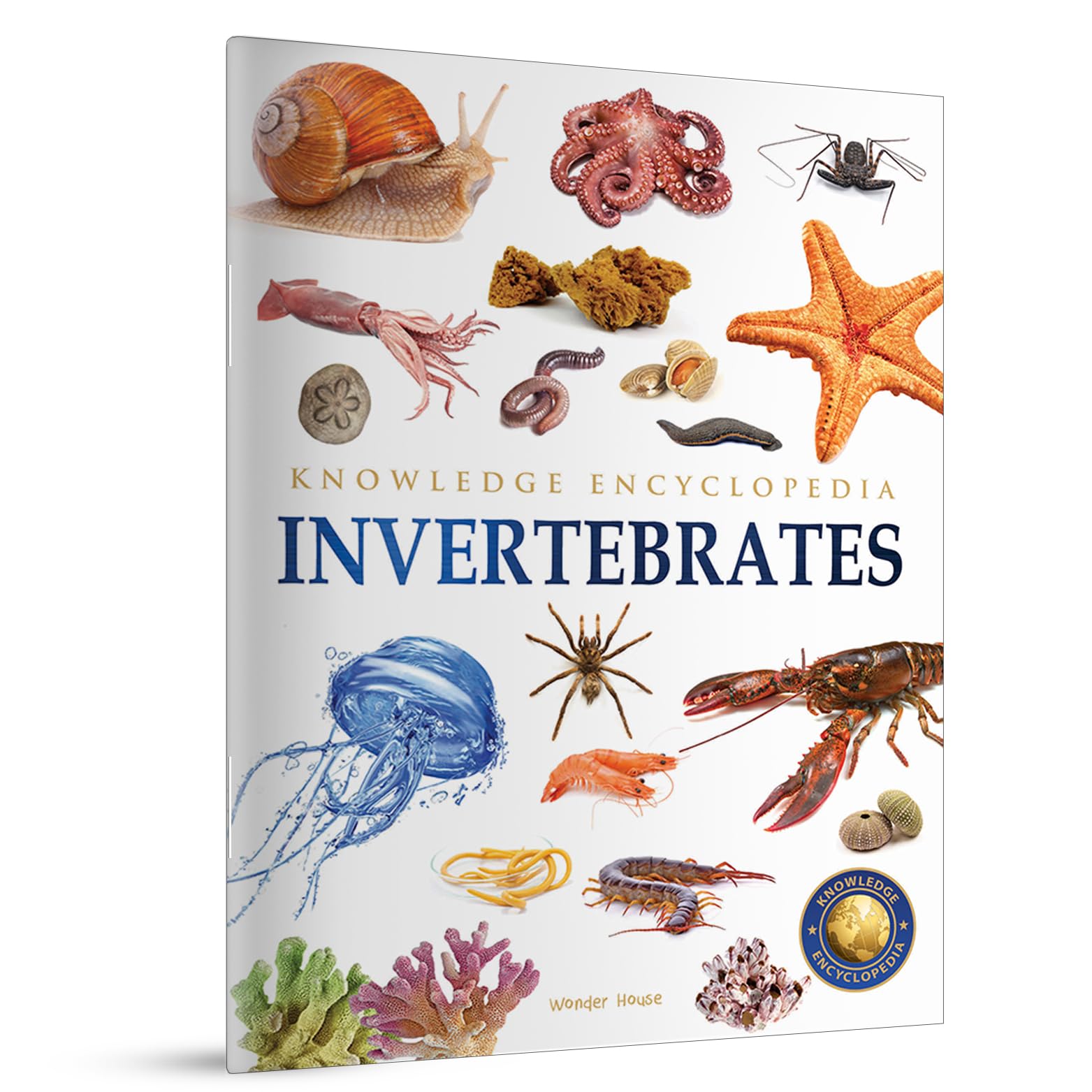 Animals - Invertebrates : Knowledge Encyclopedia For Children