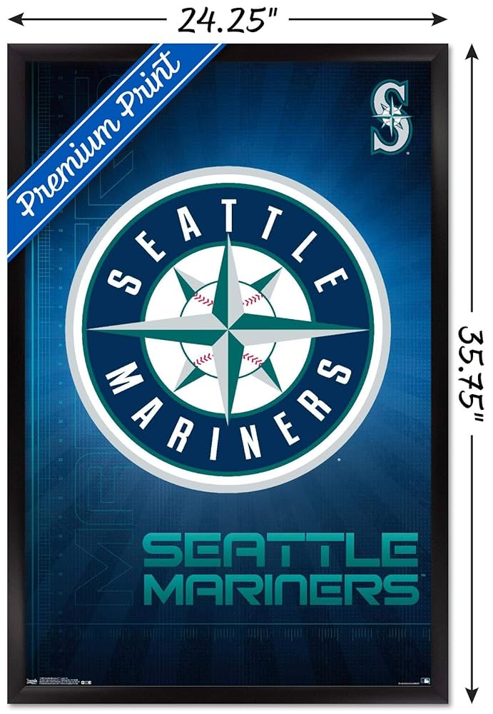 MSM ポスター 61hrxeOgnDL._UF350,350_QL50_.jpg