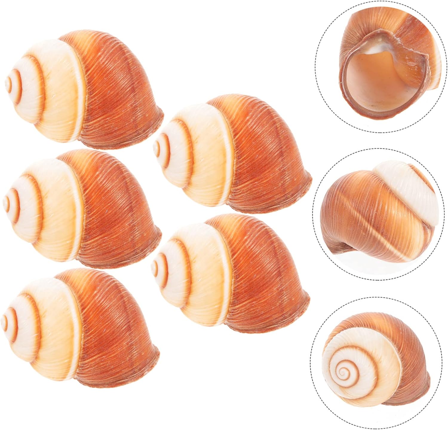 Yardwe 5sets Cooking Snail Shells Escargot Accessories Safe and Natural Snail Shells for Home and Restaurant 5pcs*5
