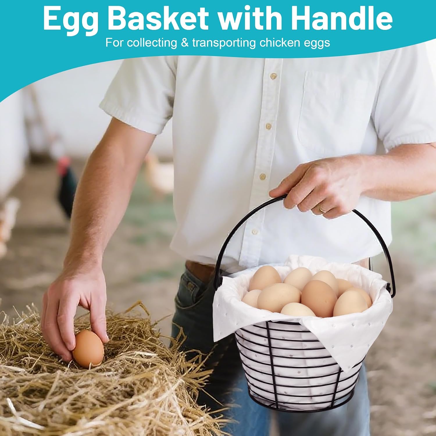 Egg Basket for Collecting & Carrying Chicken Eggs, 2 PCS 8" Wire Egg Basket with Soft Mats, Egg Collecting Baskets, Storagre & Transporting, Black