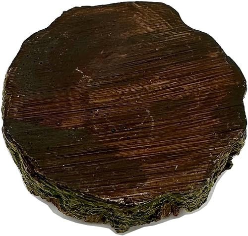 Miniatura 5 de Plato pequeño de comida para reptiles, paquete de 2 cuencos de comida para reptiles para dragón barbudo, gecko, lagarto, rana, cangrejo ermitaño,