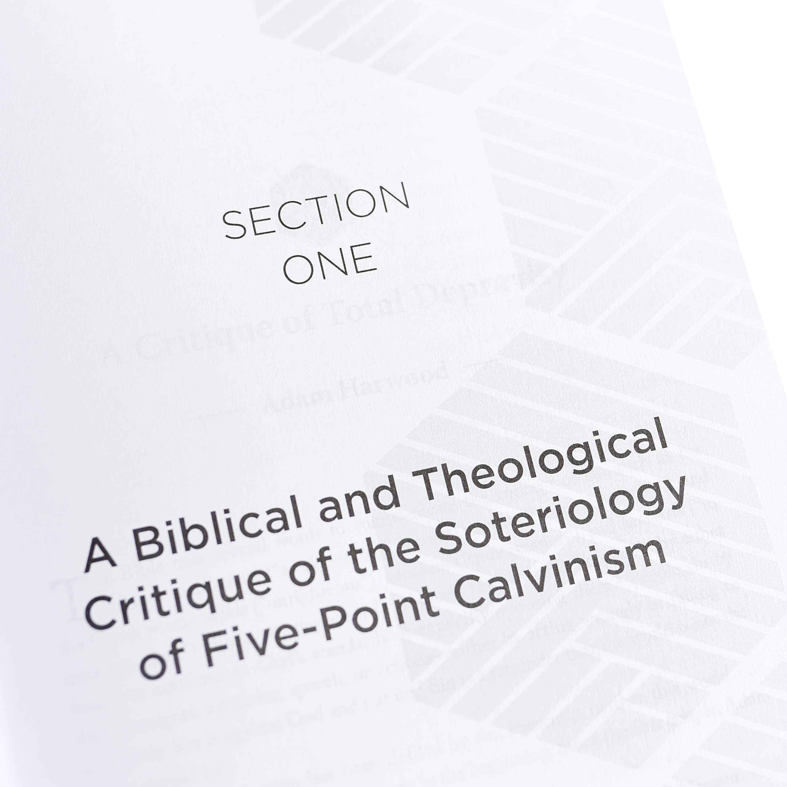 Calvinism: A Biblical and Theological Critique - Image 9